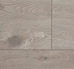 Ламинат Alsafloor Solid Plus ДУБ ЛЬНЯНОЙ 536 фото 1 | FLOORDEALER